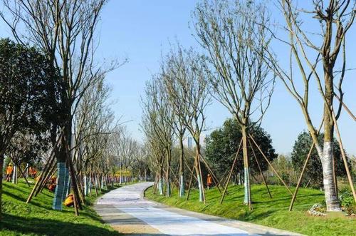 锦江绿道 图据成都发布