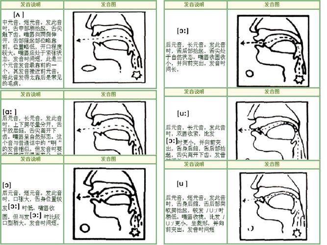 英语音标发音标准口型
