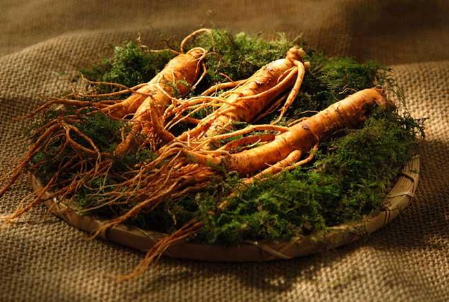 人参的雅称有哪些?