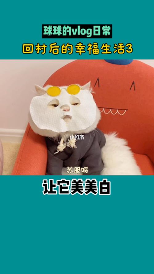 萌宠|第二次给猫咪敷面膜发现脸又大了一码_宠物_敷面膜_猫咪_宠物的