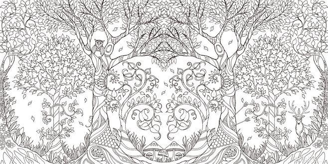 秘密花园涂绘学院丛书-魔法森林