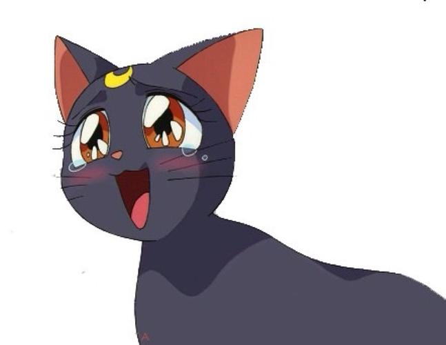 露娜露娜