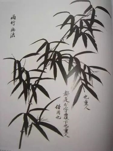 竹子画法:一步步学会画竹子!