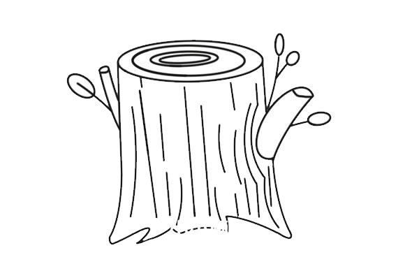 彩色树桩简笔画