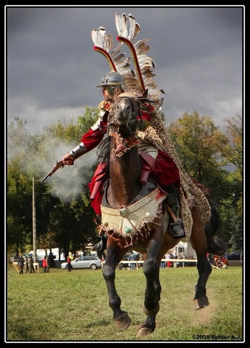 骑兵-花瓣网|陪你做生活的设计师 | 波兰翼骑兵
