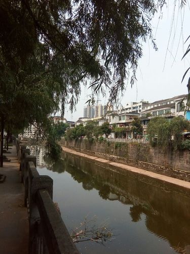 四川省遂宁市蓬溪县蜀北上路靠近中国邮政储蓄银行(上河街支行)