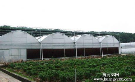 智能温室建设:pc板温室玻璃温室薄膜连栋温室:寿光明