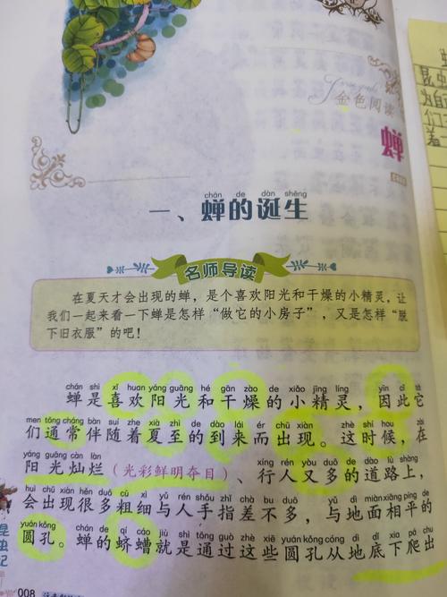 武穴市第二实验小学一年级一(1)班,今天阅读《昆虫记》之《蝉的诞生》