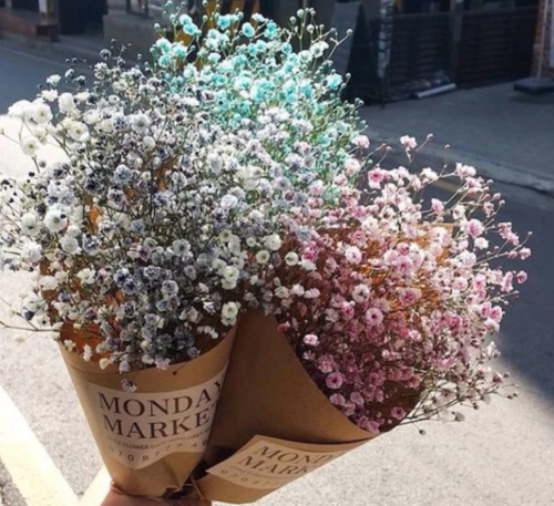 抖音满天星的经典一句短句 抖音很火的满天星短句