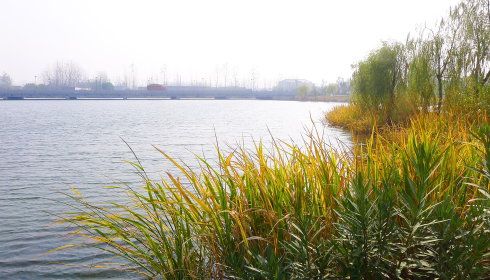 盐城响水旅游自然风光带