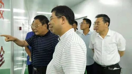 淅川县代县长王兴勇到工业企业调研