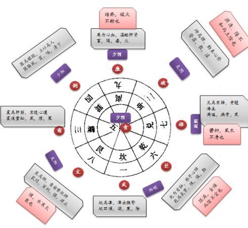 数配九宫后天八卦,可参考李保柱先生《九宫脏腑配八神用药法要图》