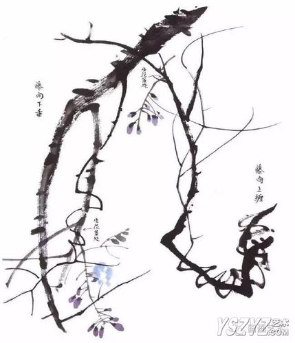 国画写意紫藤的画法步骤