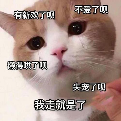 沙雕表情包第十六期(撒娇篇)