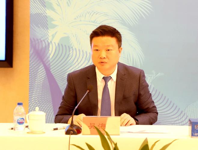 三亚市政府副市长吴海峰出席媒体推介会欧美同学会商会副会长,阳光