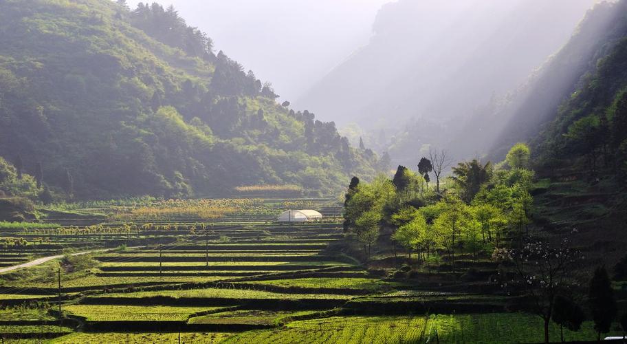 大娄山又称娄山,是中国云贵高原上的一座山脉.