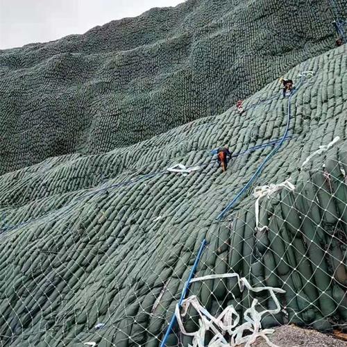 生态棒护坡工程