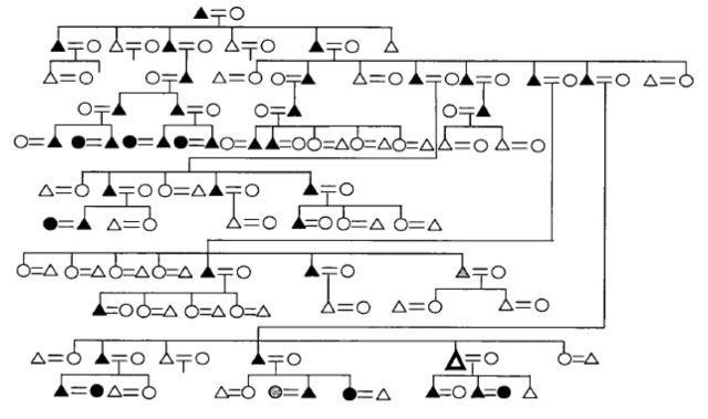 苏北丧葬乐班的人类学研究