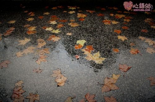 冬天下雨天早安心语