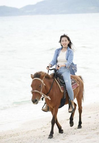 海边骑小矮马的美女,穿紧身牛仔裤,看起来清新靓丽很迷人