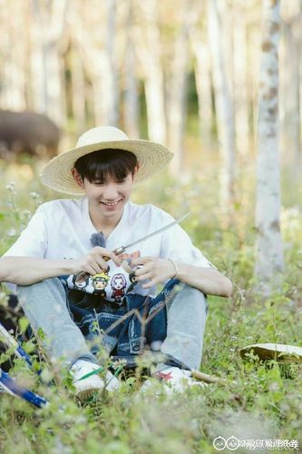 王源粉丝任务群