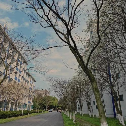 江苏省高校(四十)常熟理工学院