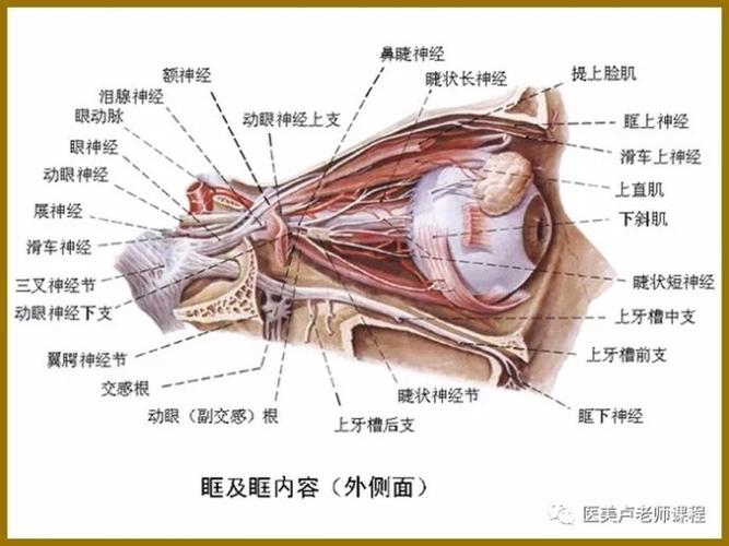 眼部眶上神经危险区