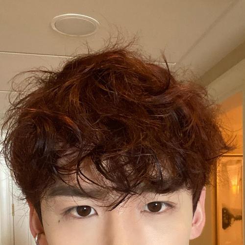 白敬亭晒自来卷自拍头发乱糟糟:真的是每一根都有自己