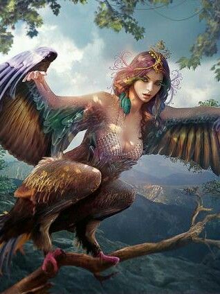 贼";派生自希腊语单词ρπαξ,意为"抢夺")希腊神话中的一种怪物