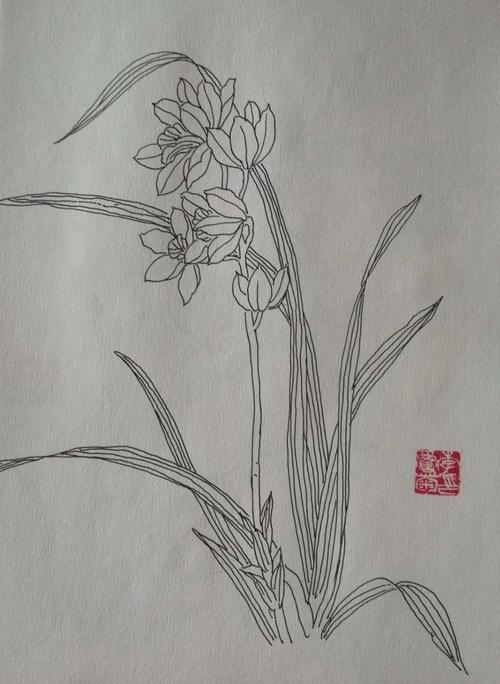白描兰花