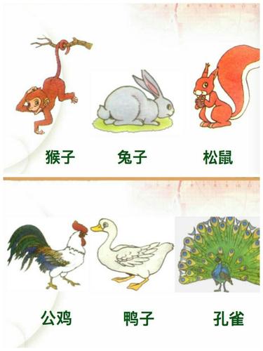 《比尾巴》 写美篇活动目标:  1,让幼儿在儿歌中比较动物尾巴的特点