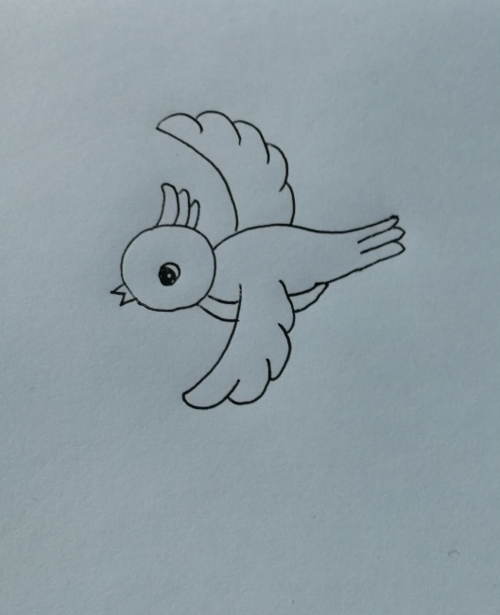 怎样画小鸟图片