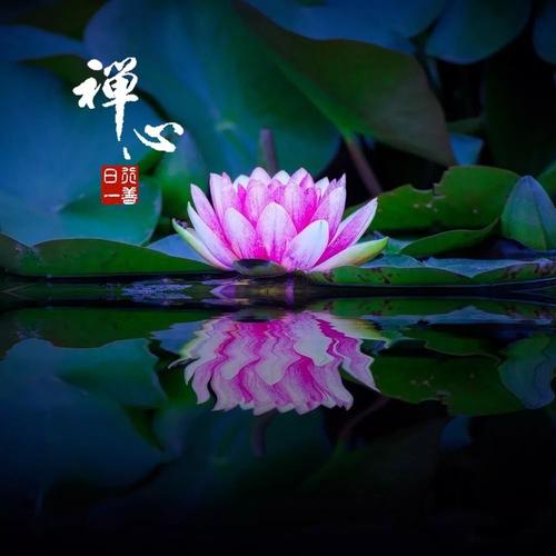 康康茶室:人的快乐,在禅心内