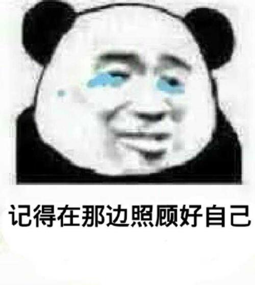 记得在那边照顾好自己(熊猫人哭了) - 斗图表情包