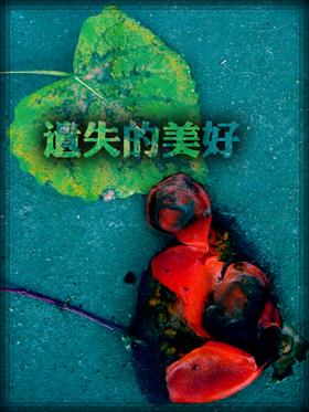 遗失的美好