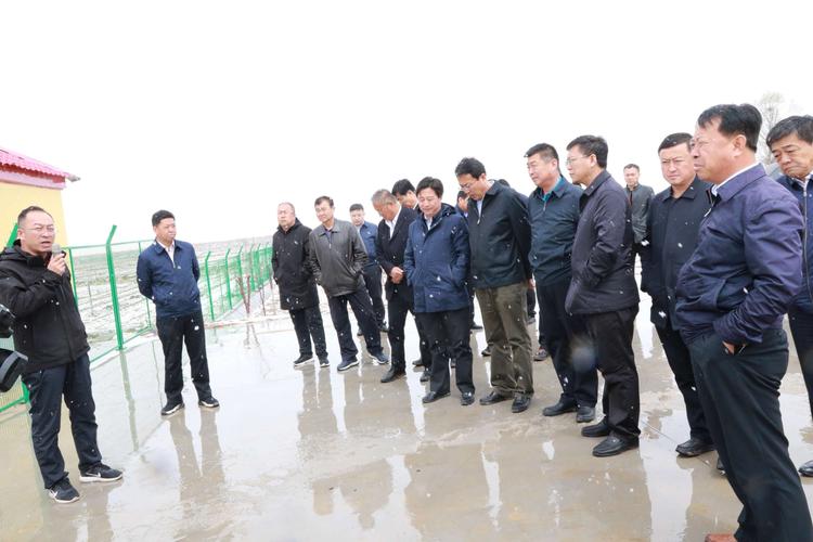 全市春季植树造林现场观摩会在五原召开