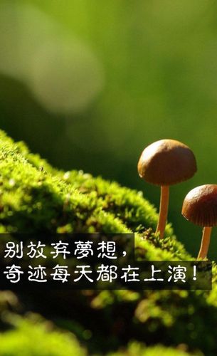 别放弃梦想.奇迹每天都在上演!