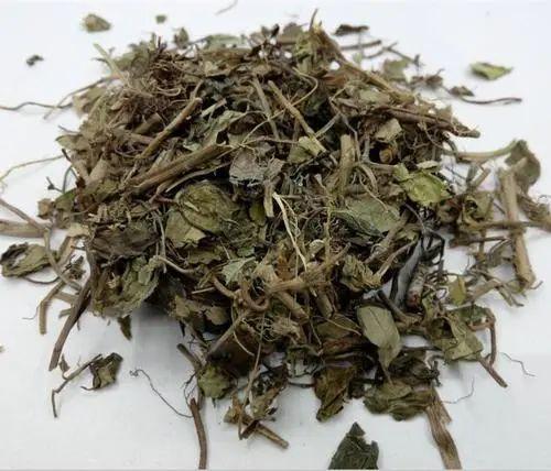 地稔根:活血通络,收敛止血.