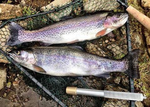 越乖的孩子越让人操心?这个教育误区,是父母最大过失