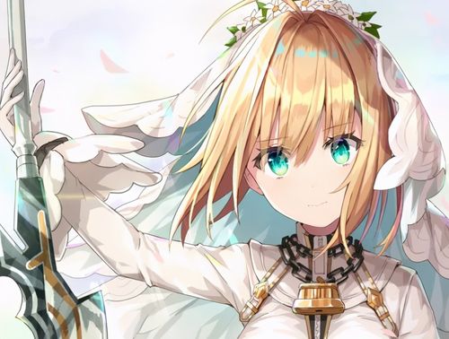 fgo花嫁尼禄新强度评价公开 木之本尼禄的哥哥是金闪闪