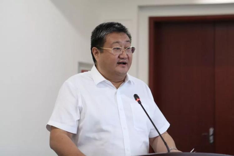 国新能源党委书记,董事长刘军