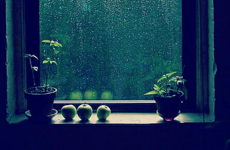 风雨无常愁不寐, 断肠寂夜忆萍身.        