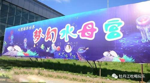 咱牡丹江也有水母馆了!带着宝宝来一场不一样的海底总动员吧!