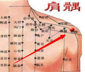 穴位于人体的肩部,三角肌上,臂外展,或向前平伸时,当肩峰前下方凹陷处