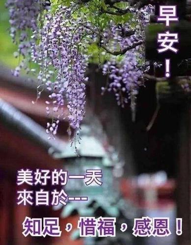 最新清晨暖心早安问候语,早安最美的祝福表情图片