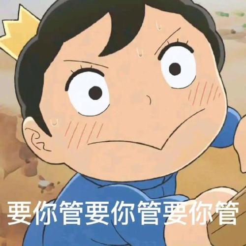 国王排名波吉表情包合集