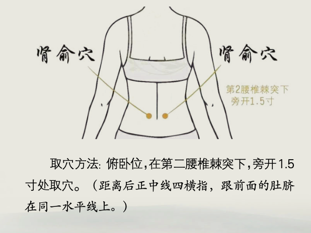 腰部的"肾俞穴",是肾之精气聚集之处,按摩