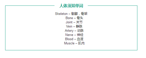 人体各个部位的英文名称及配图很全很实用