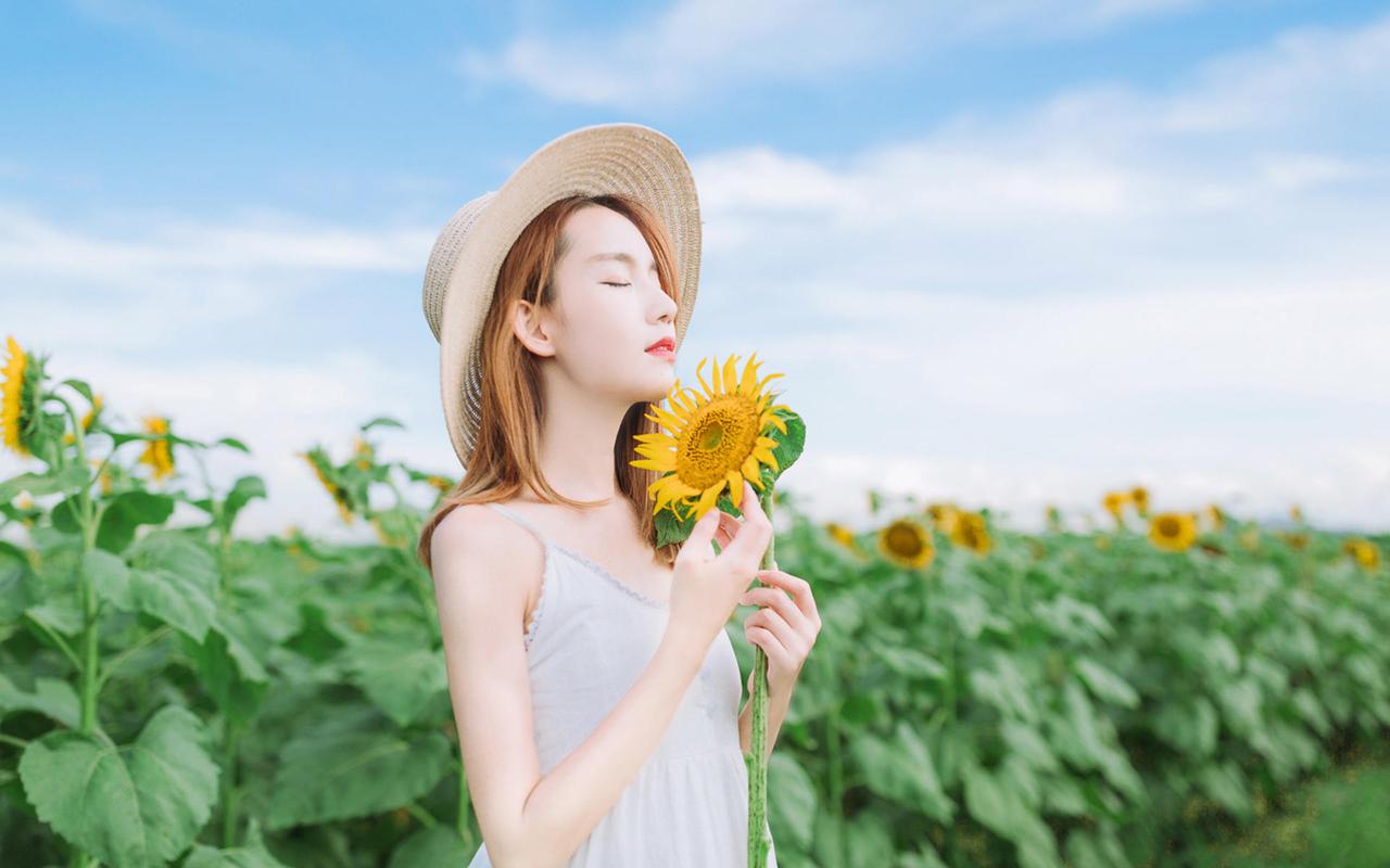 向日葵美女清新户外写真高清壁纸
