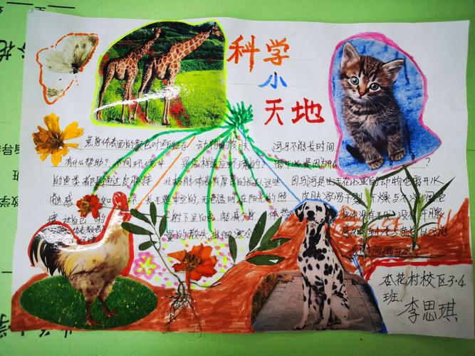 科学是孩子们未来发展的第一要任,为此,孩子们在假期用实践作业来探索